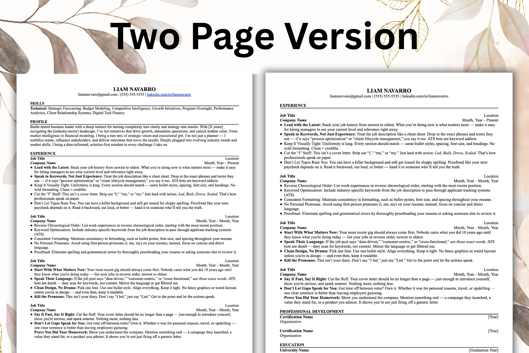 Engineering Resume 97% ATS Score - View 2